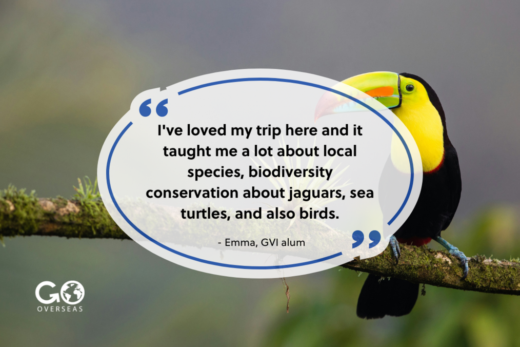Graphic showing quote from alum, bird in the background